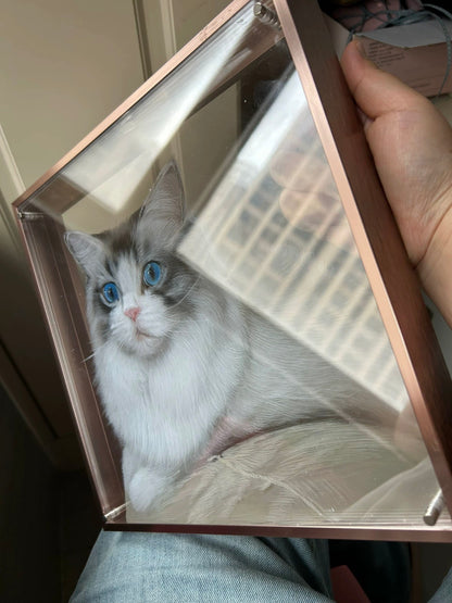 Custom 3D Hand-Painted Multi-Layer Pet Portrait