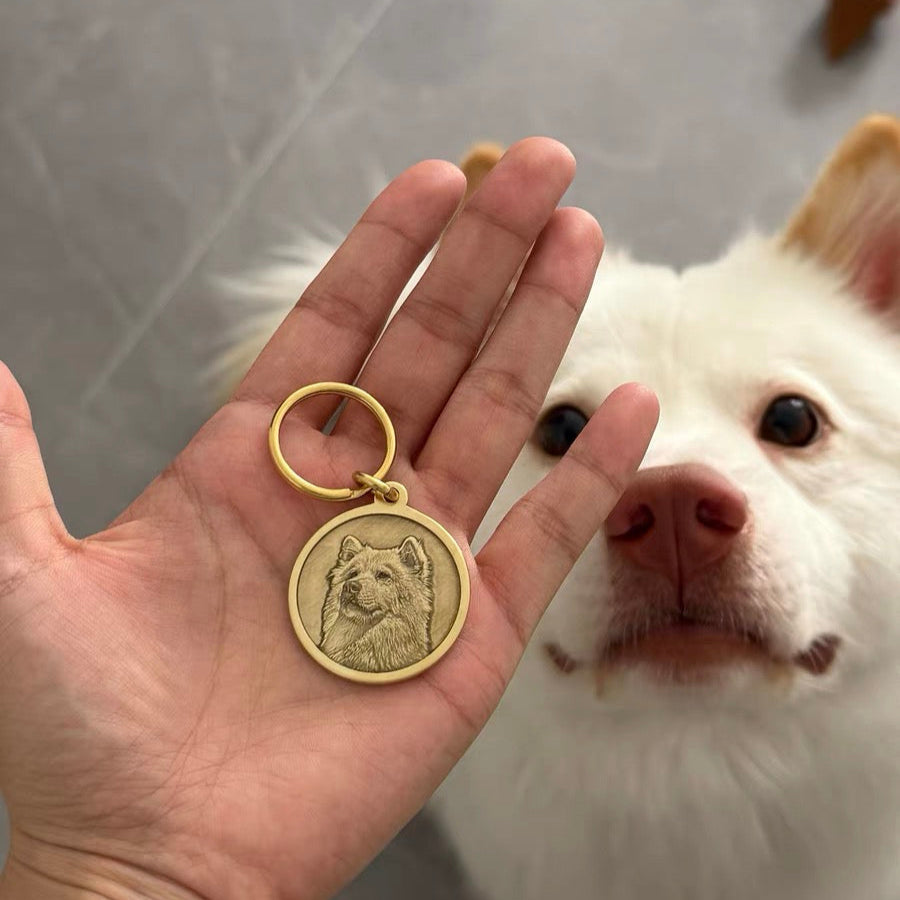 Custom Engraved Solid Brass Pet ID Tag