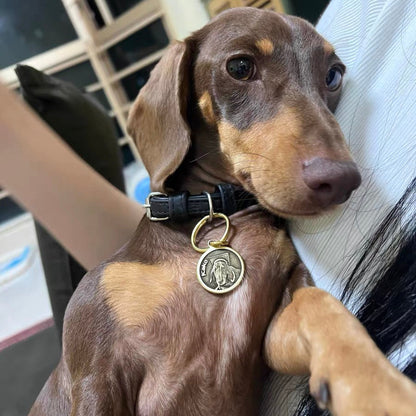 Custom Engraved Solid Brass Pet ID Tag