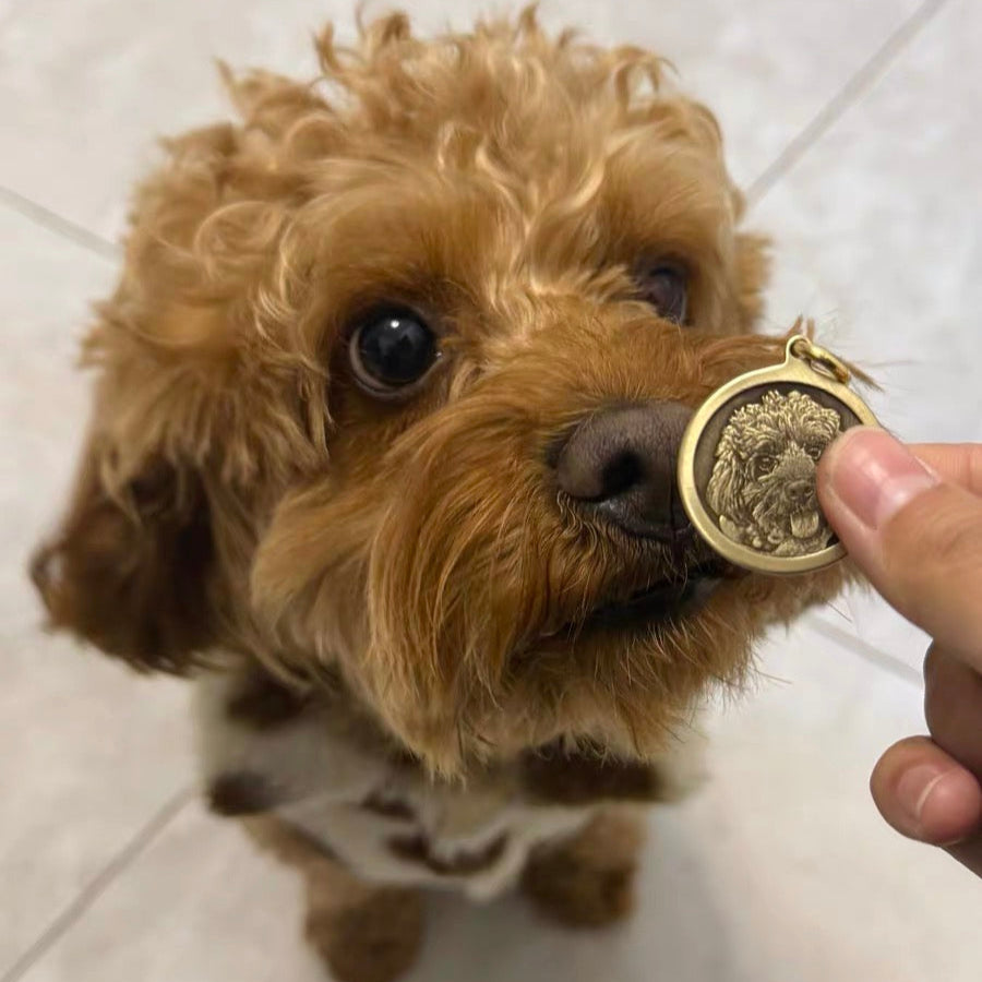 Custom Engraved Solid Brass Pet ID Tag