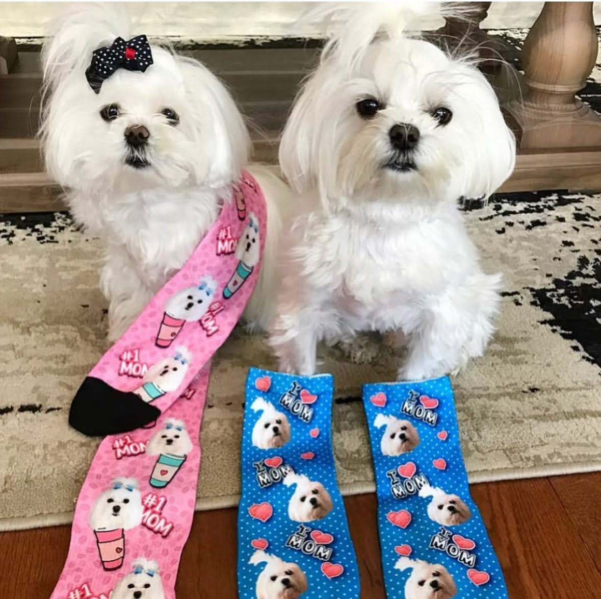 Custom Pet Face Socks