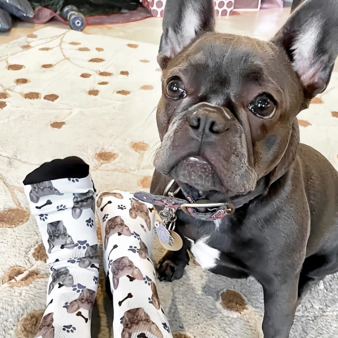 Custom Pet Face Socks
