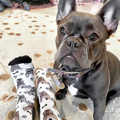 Custom Pet Face Socks