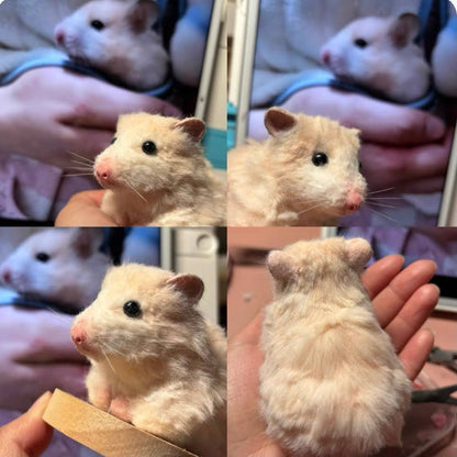 Custom Pet Twist Plush; Handmade Doll