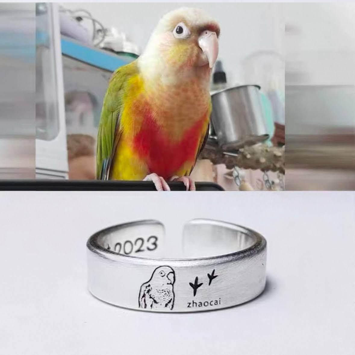 Custom Adjustable Round Silver Pet Ring