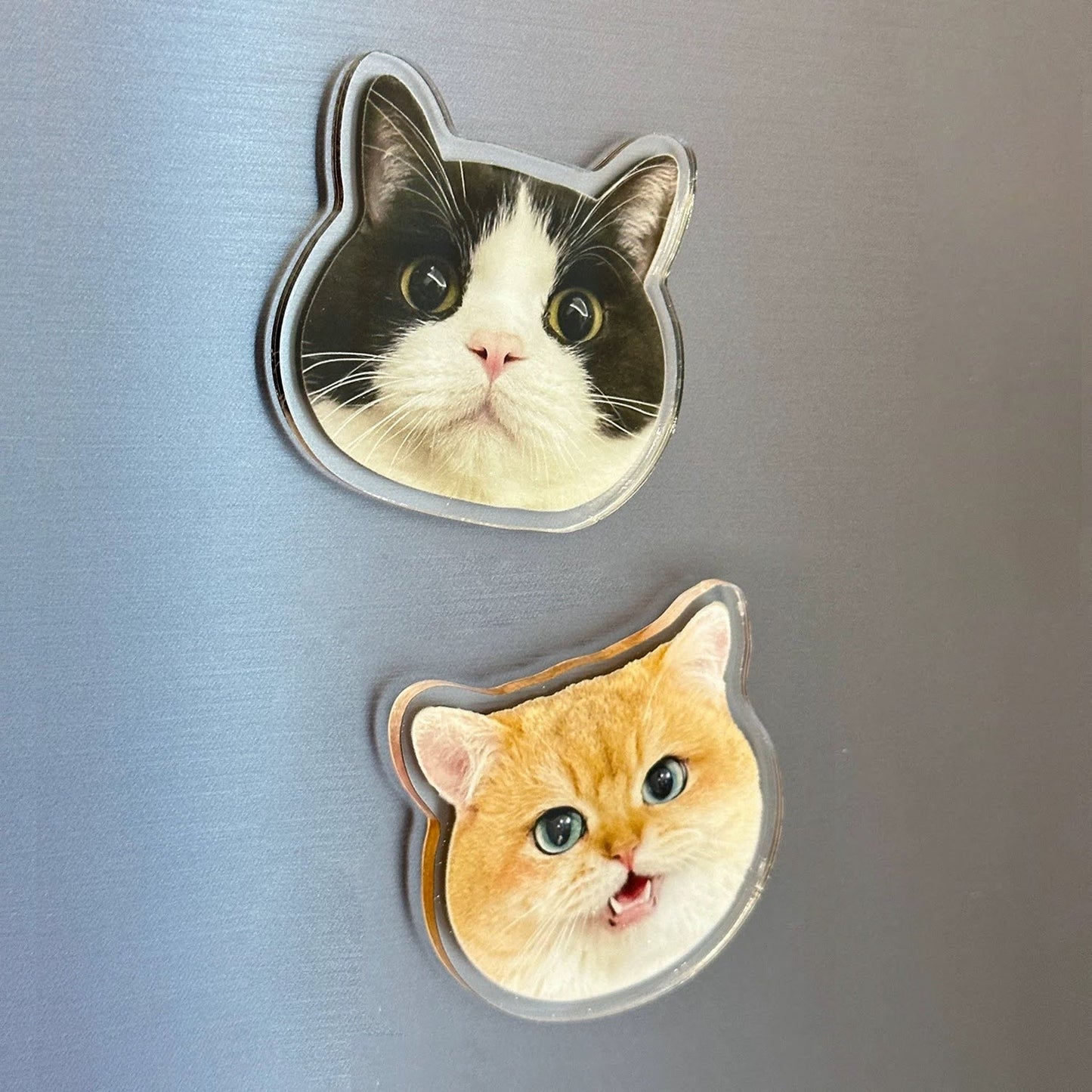 Custom Acrylic Pet Fridge Magnet