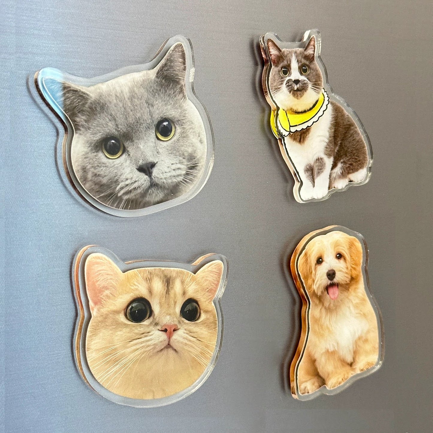 Custom Acrylic Pet Fridge Magnet