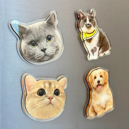 Custom Acrylic Pet Fridge Magnet