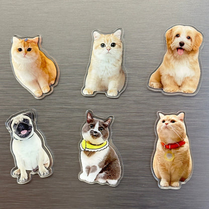 Custom Acrylic Pet Fridge Magnet