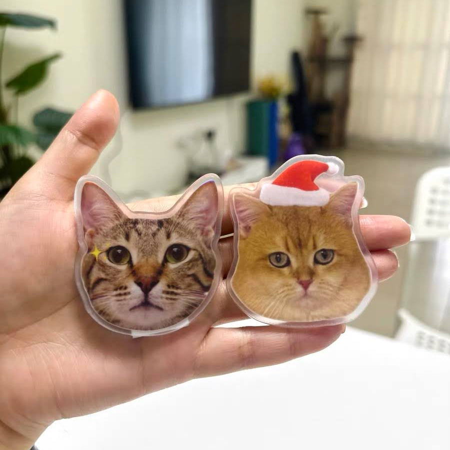 Custom Acrylic Pet Fridge Magnet