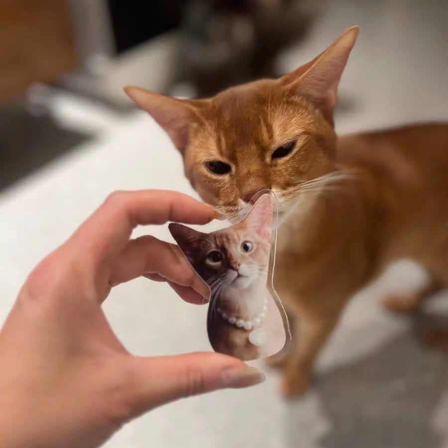Custom Acrylic Pet Fridge Magnet