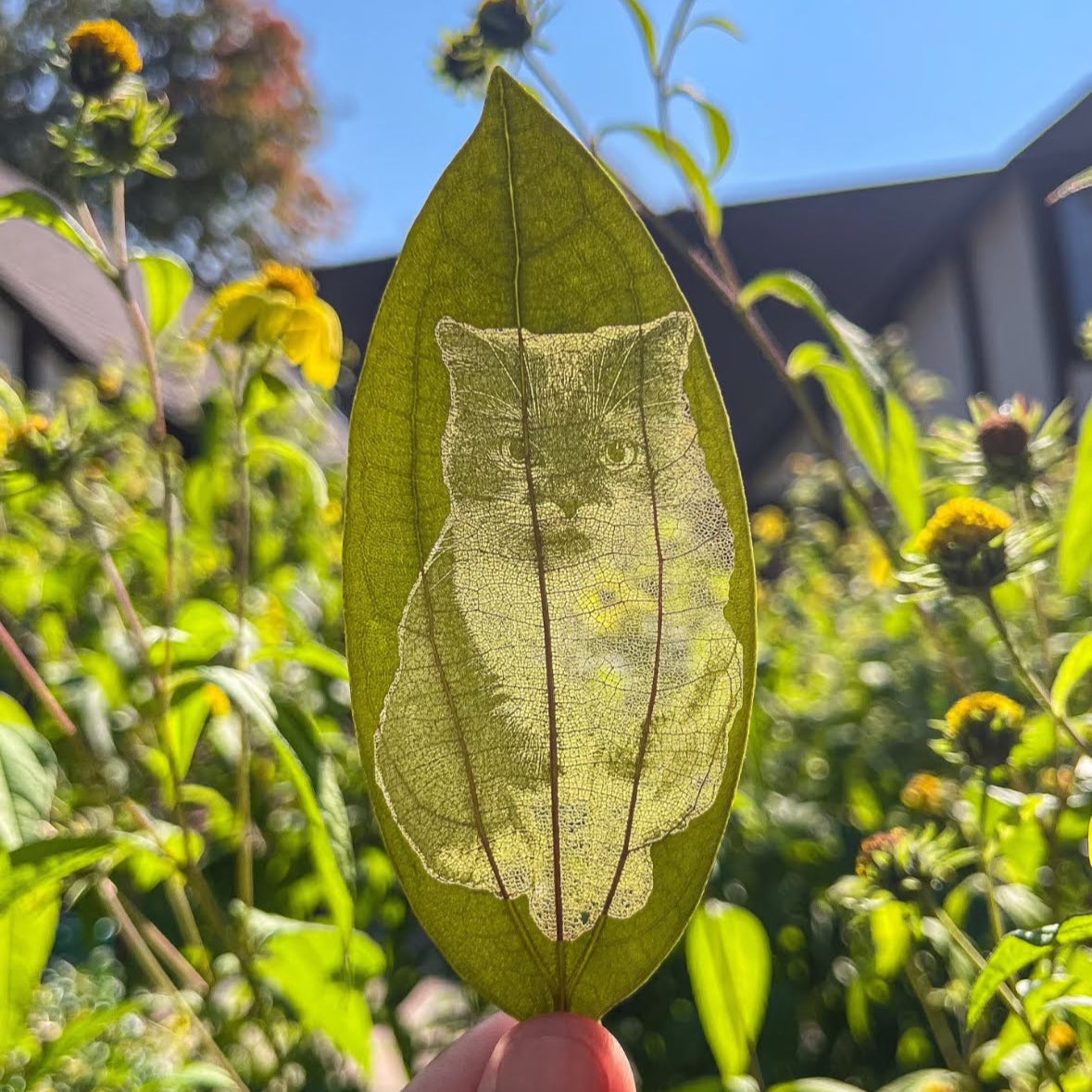 Custom Pet Leaf Carving; Handmade &  Laser Engraved Art