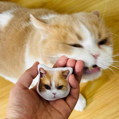 Custom Pet Hair Clip
