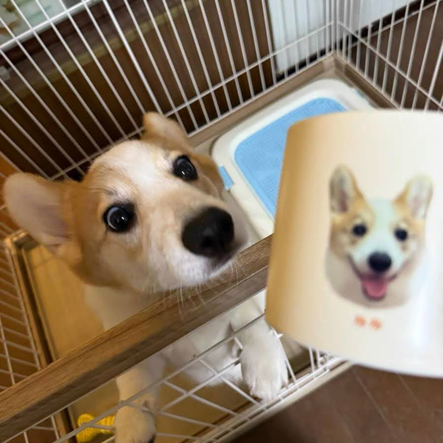 Custom Pet Portrait Mug