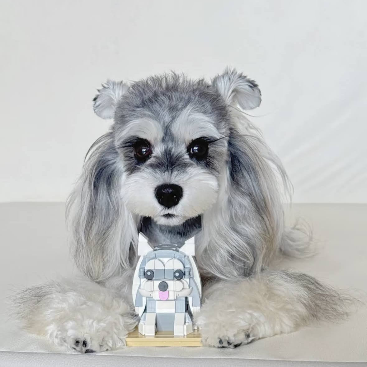 Custom Pet Building Block Figure